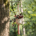 Plantenhanger Maisie